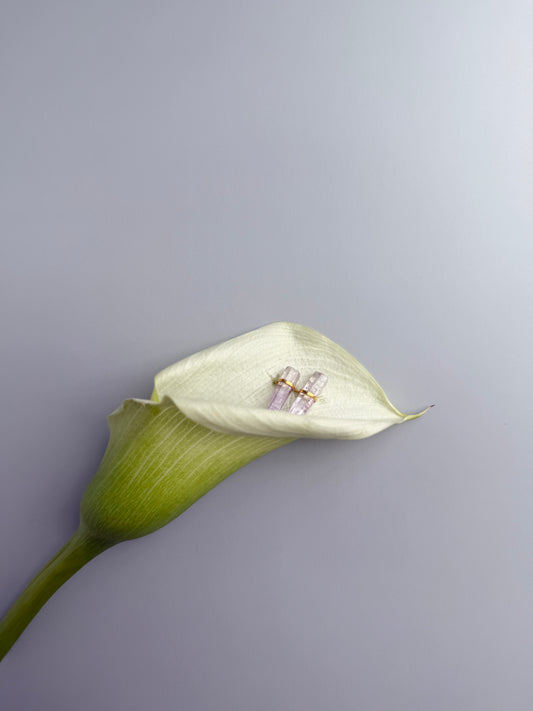 Small Amethyst Earrings